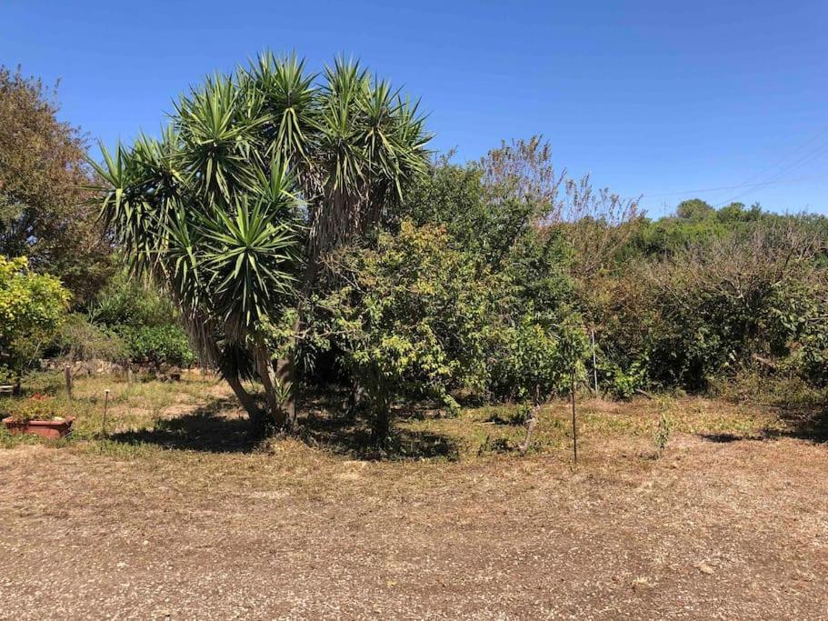 Casa Indipendente I Due Mari Villa Porto Torres Buitenkant foto